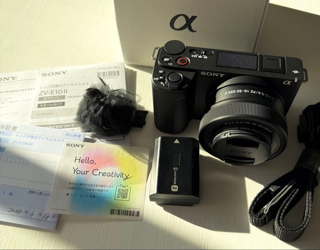 【美品】SONY ZV-E10 II