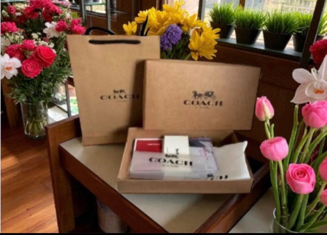 COACH 【新品】長財布アプリコット新品