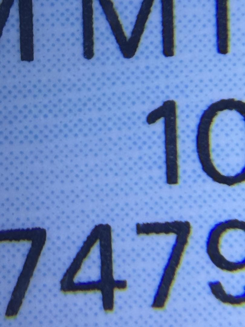 [PSA10] イースターのピカチュウ プロモ SM-P 055