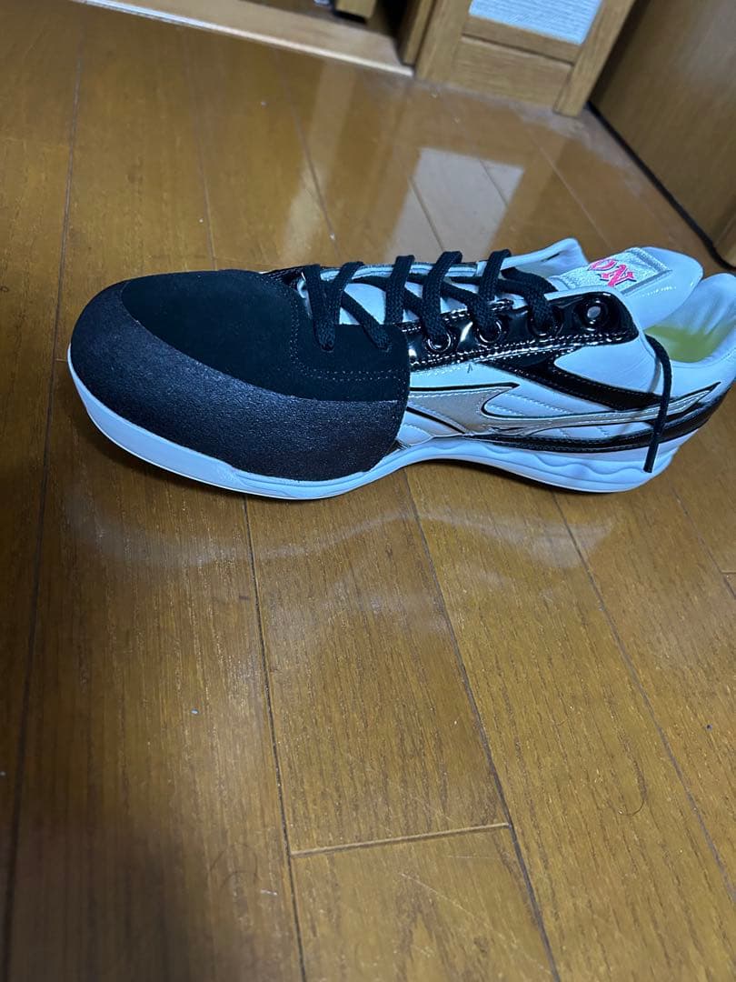 日本大学 野球部 スパイク