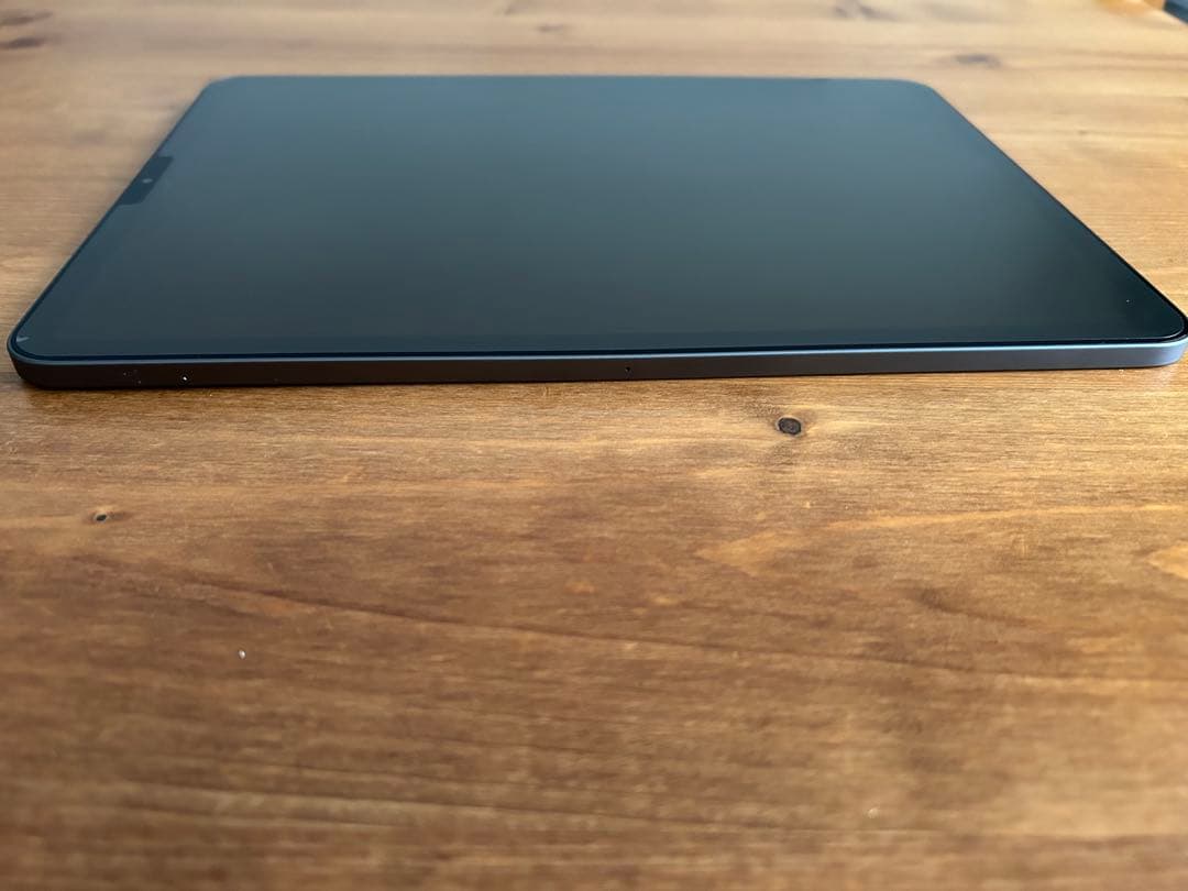 Apple iPad Pro (11インチ) 258GB