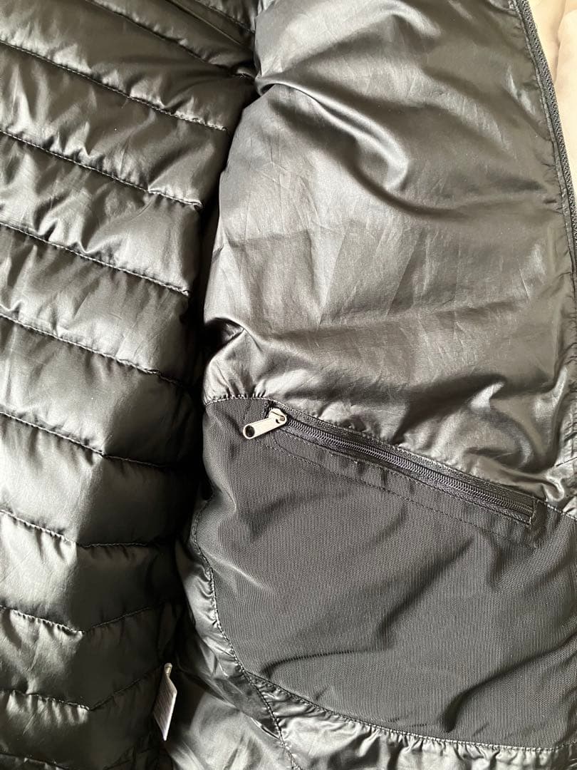 難ありpatagonia ダウンジャケット