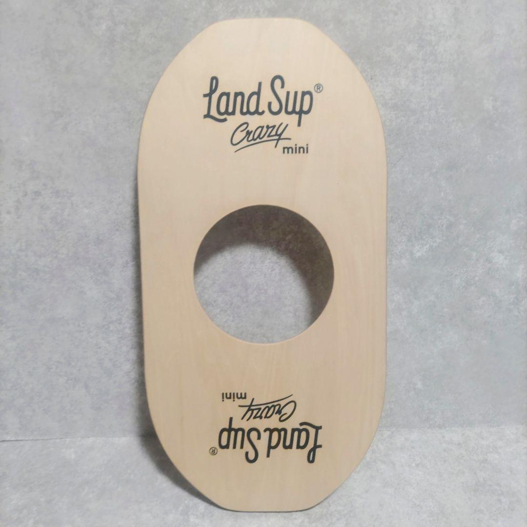 LandSup Crazy mini サーフィン　バランス　ボード　美品