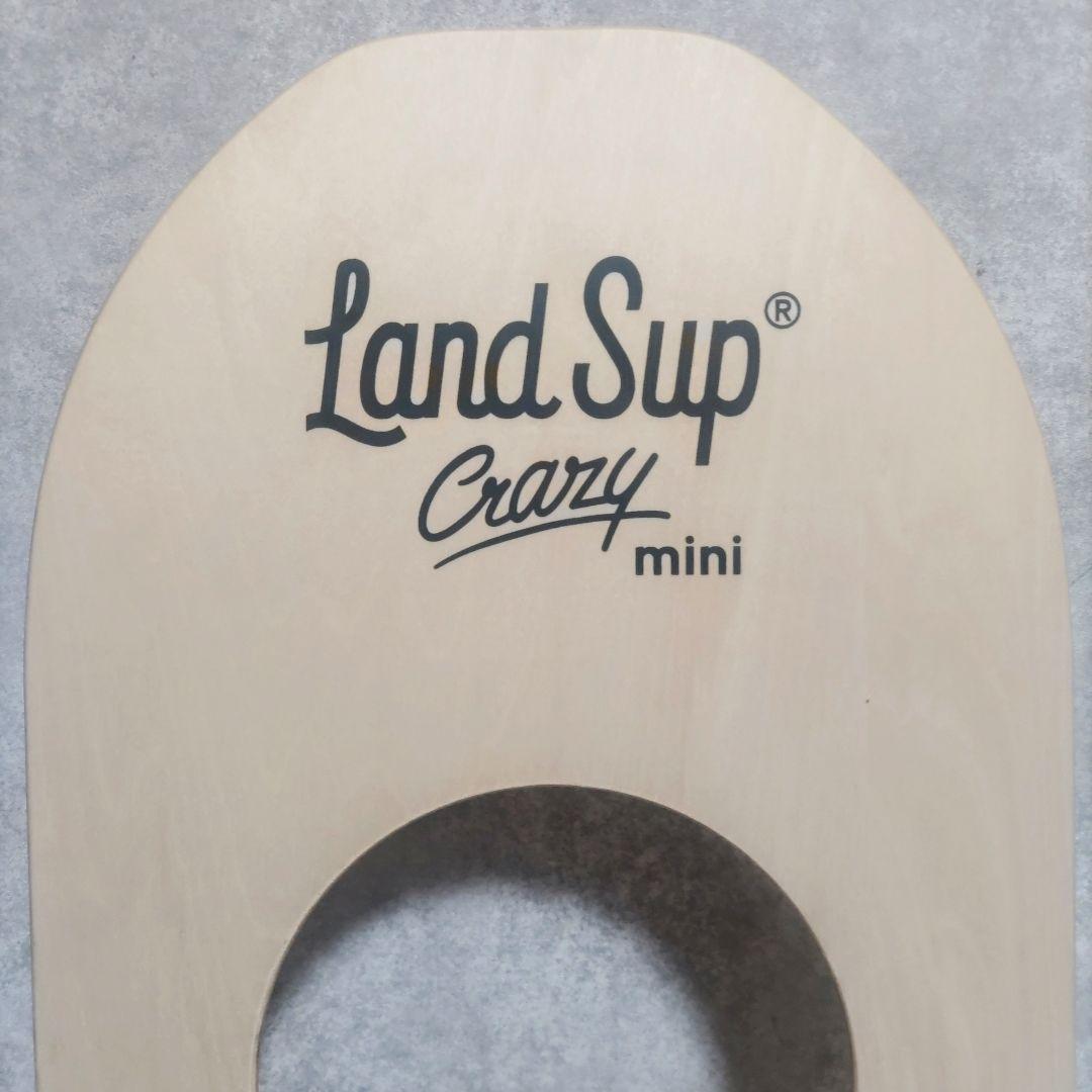 LandSup Crazy mini サーフィン　バランス　ボード　美品