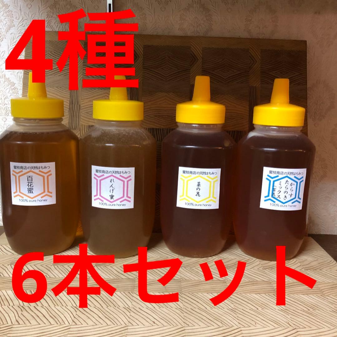 1日1セット限定【非加熱・生はちみつ】1000g×6本セット