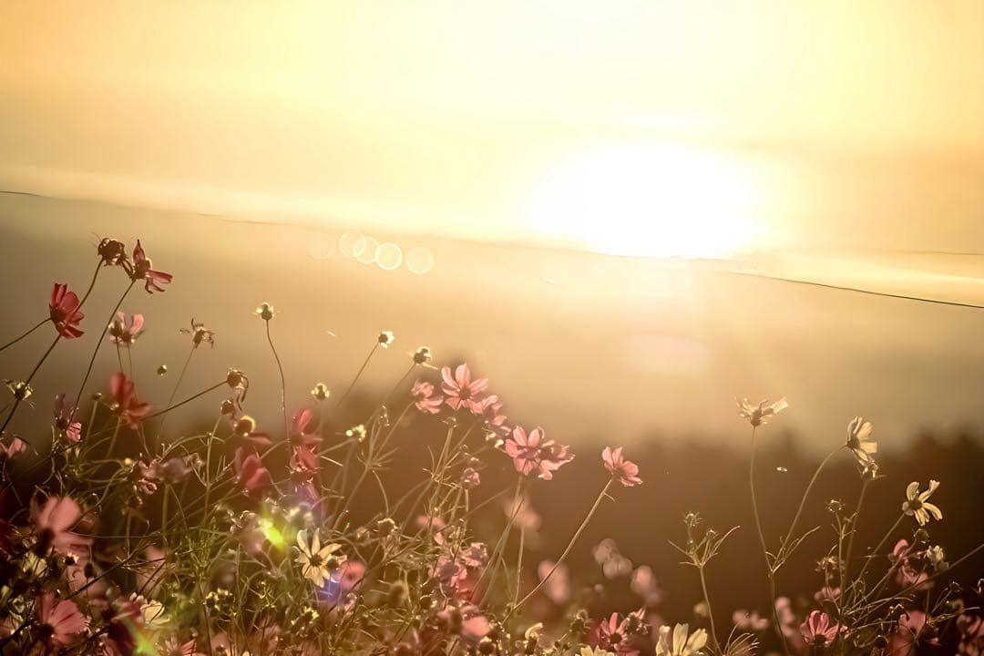 Sony α7 II 値下げ交渉可 同セット最安値