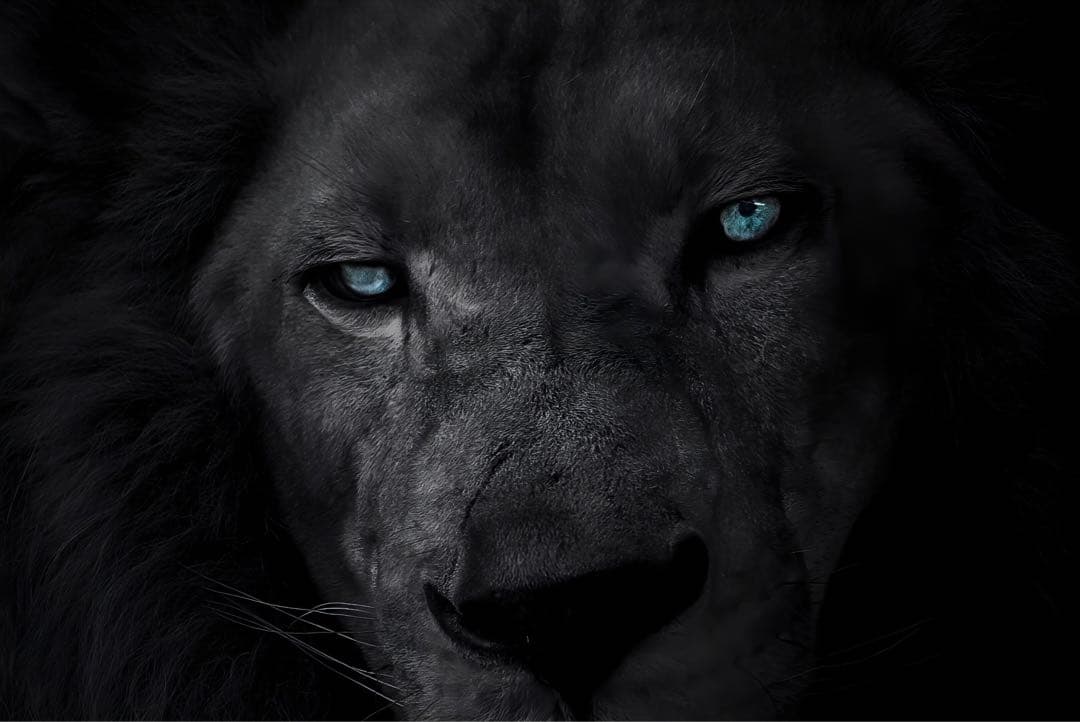 Sony α7 II 値下げ交渉可 同セット最安値