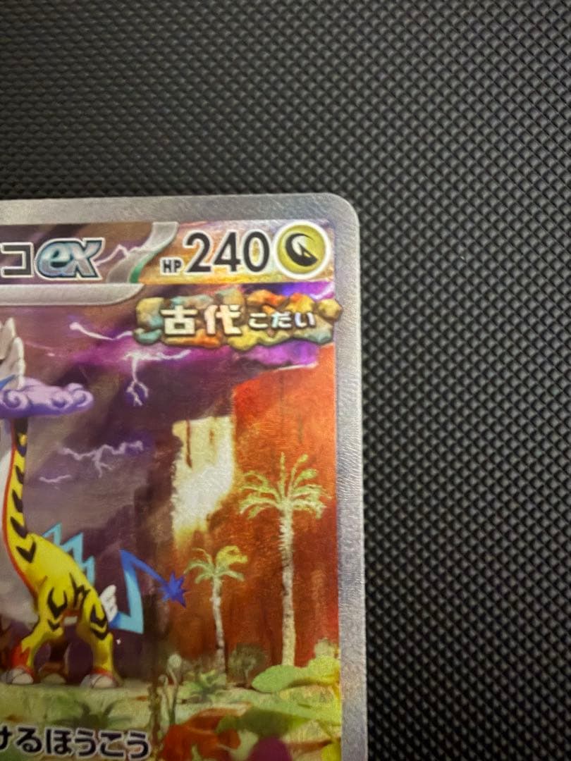 【美品】タケルライコEX 240HP SR