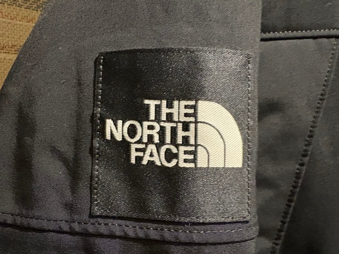 【GUN★】The North Face Antarctica Parka