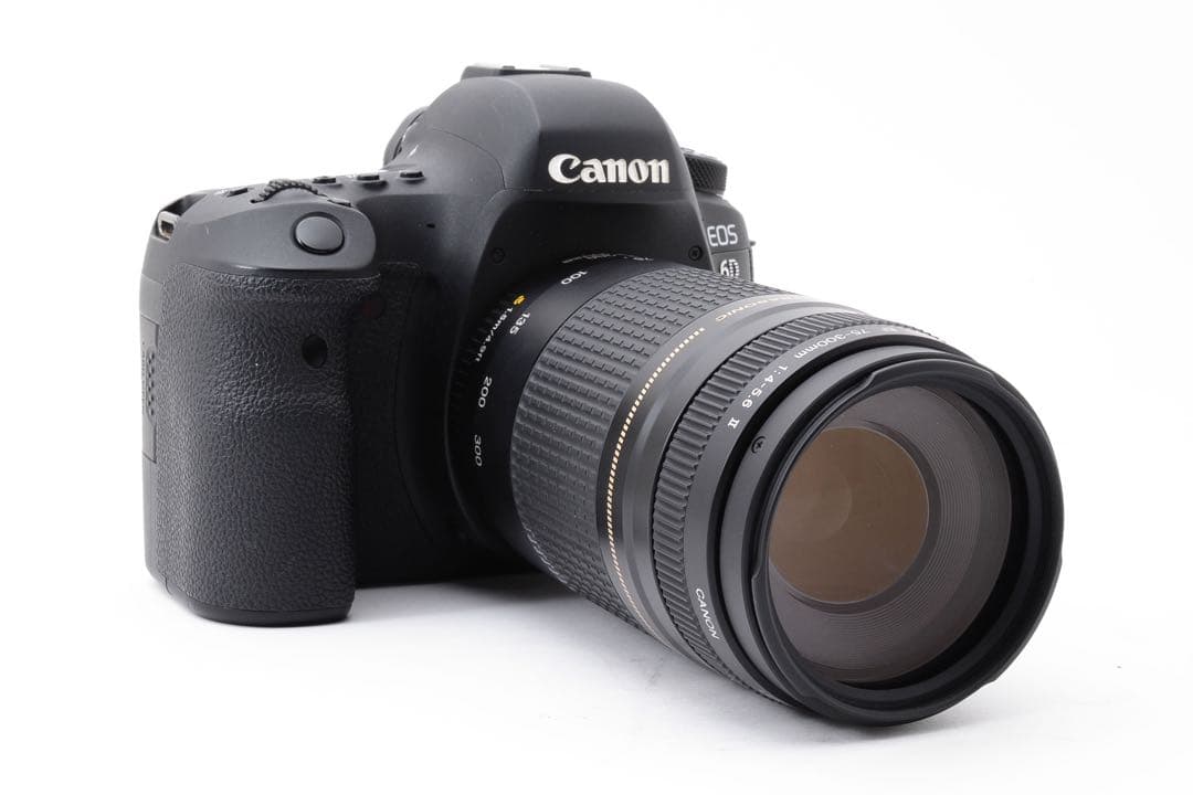 デジタル一眼レフカメラCanon EOS 6D Mark II 望遠レンズセット