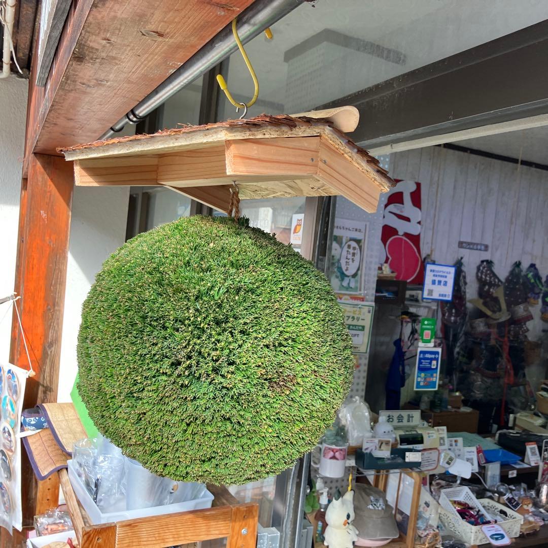 杉玉【屋根付き】④