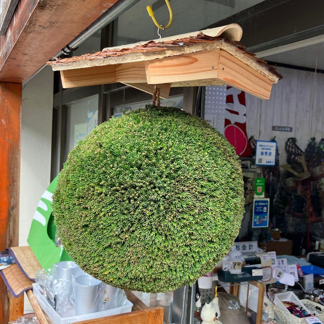 杉玉【屋根付き】④