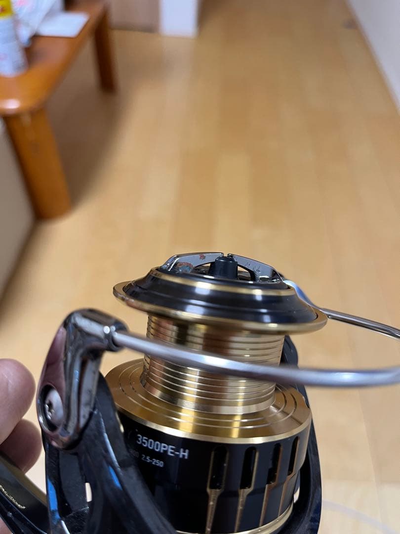 Daiwa THEORY 3500PE-H 17セオリー