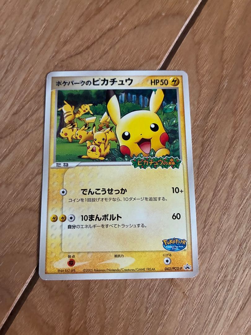 ポケパークのピカチュウ PROMO PCG-Pプロモカード 043/PCG-P