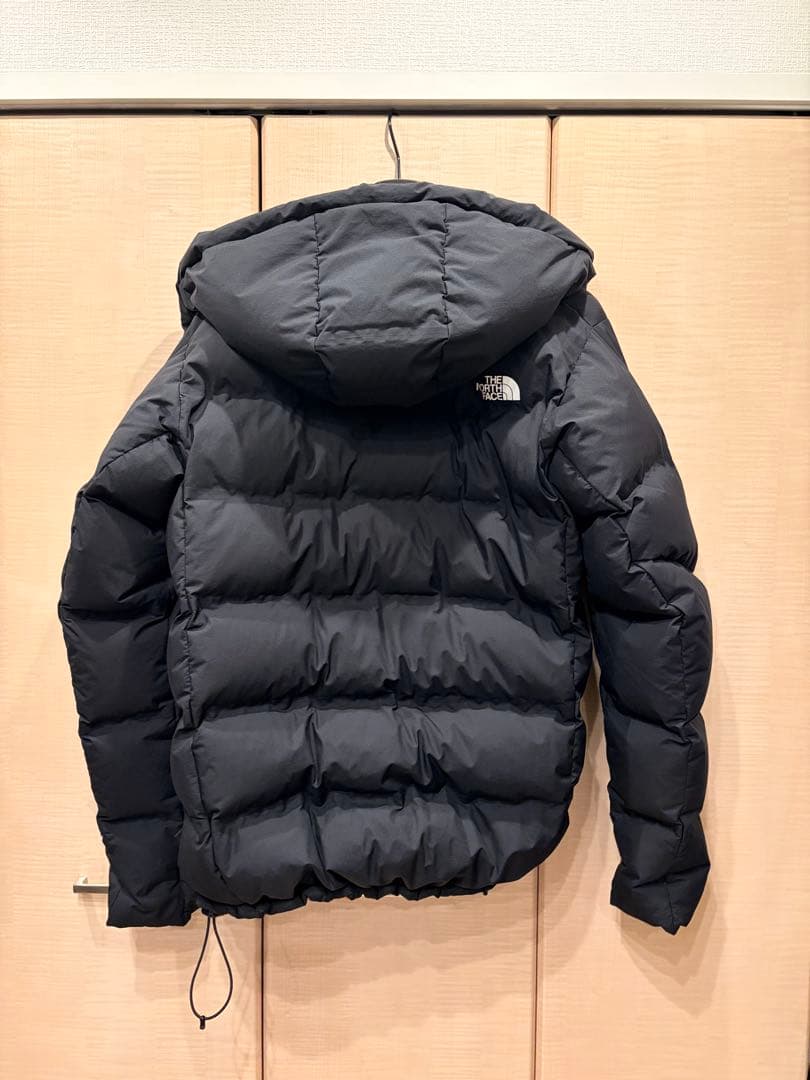 THE NORTH FACE GORE-TEX ビレイヤーダウンジャケット M