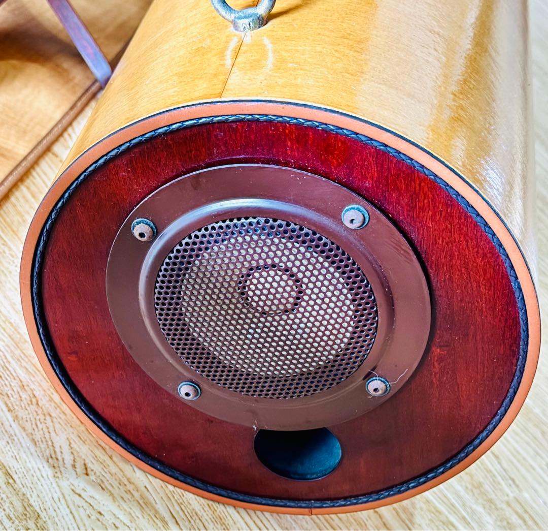 波動スピーカー　MS1001-M