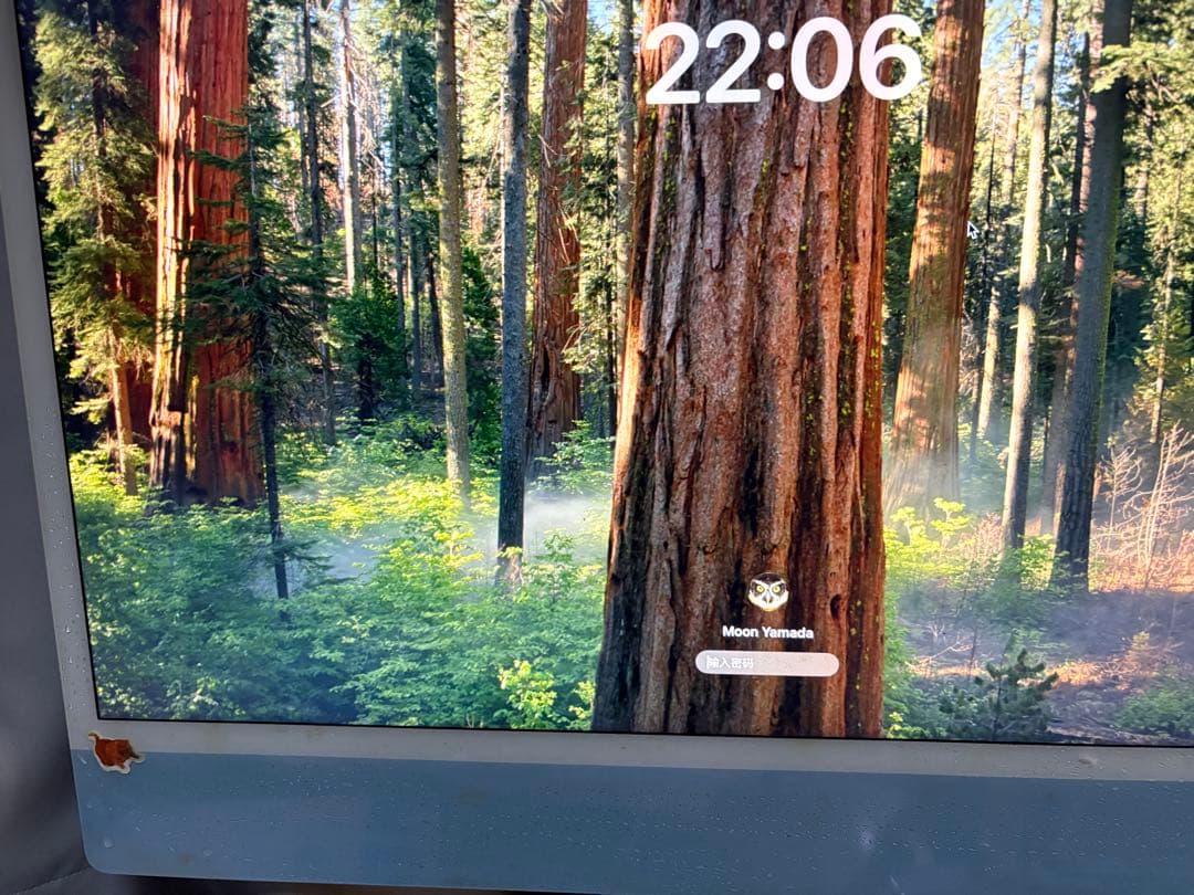 Macデスクトップ Apple iMac 24-inch M1 2021