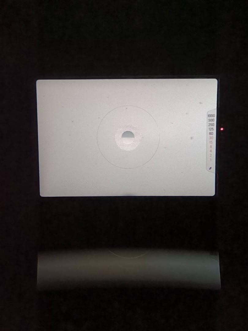 超美品 NIKON FG ブラック フィルム モルト新品交換済 M441