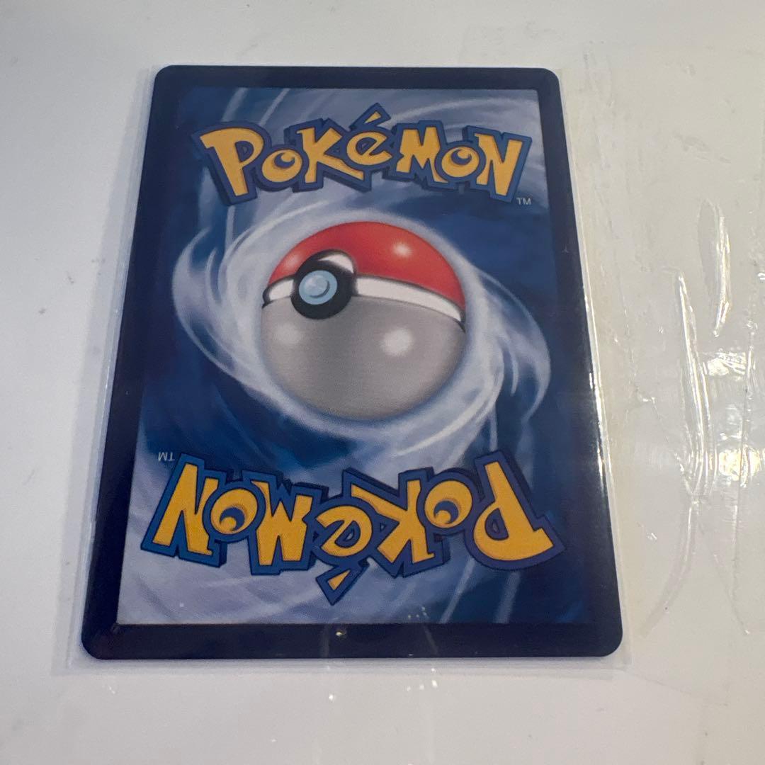 星月夜 イーブイ リザードン ゼニガメ