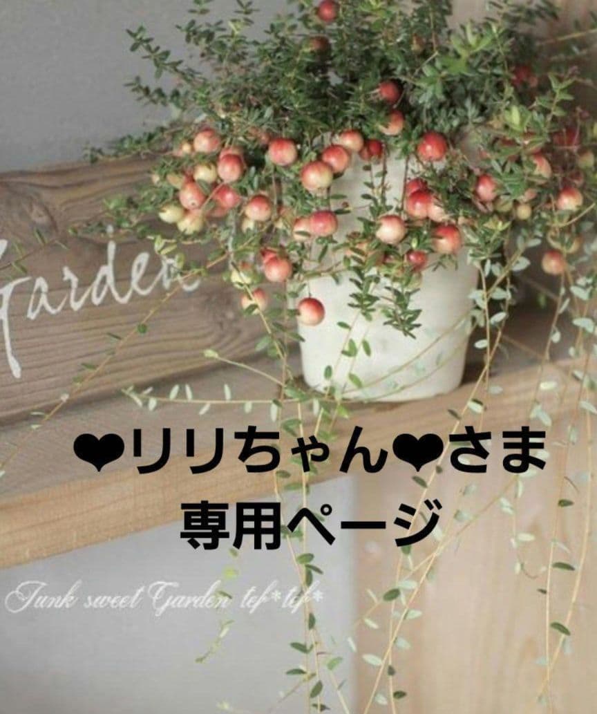 ❤︎リリちゃん❤︎さま専用です♬*°