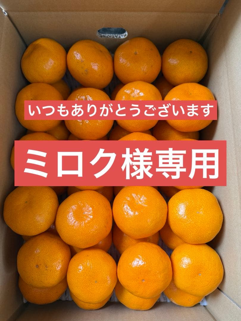 【濃厚】本場有田みかん 10kg箱 送料無料