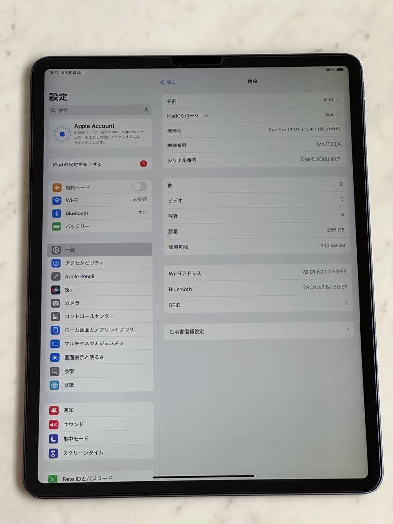 iPad Pro 12.9インチ 第4世代 256GB