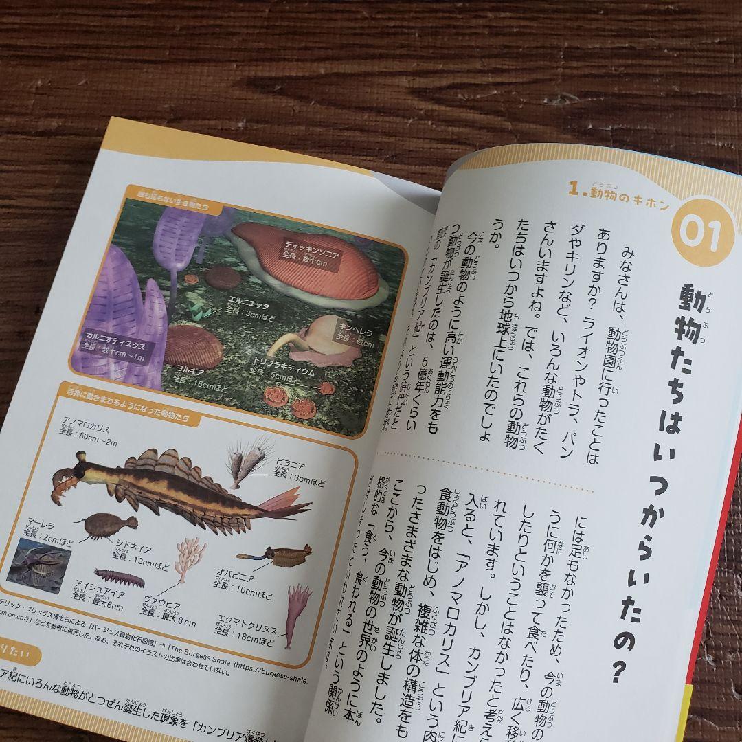 10冊セット◆ニュートン科学の学校シリーズ 動物の学校／地球／天気／恐竜 等