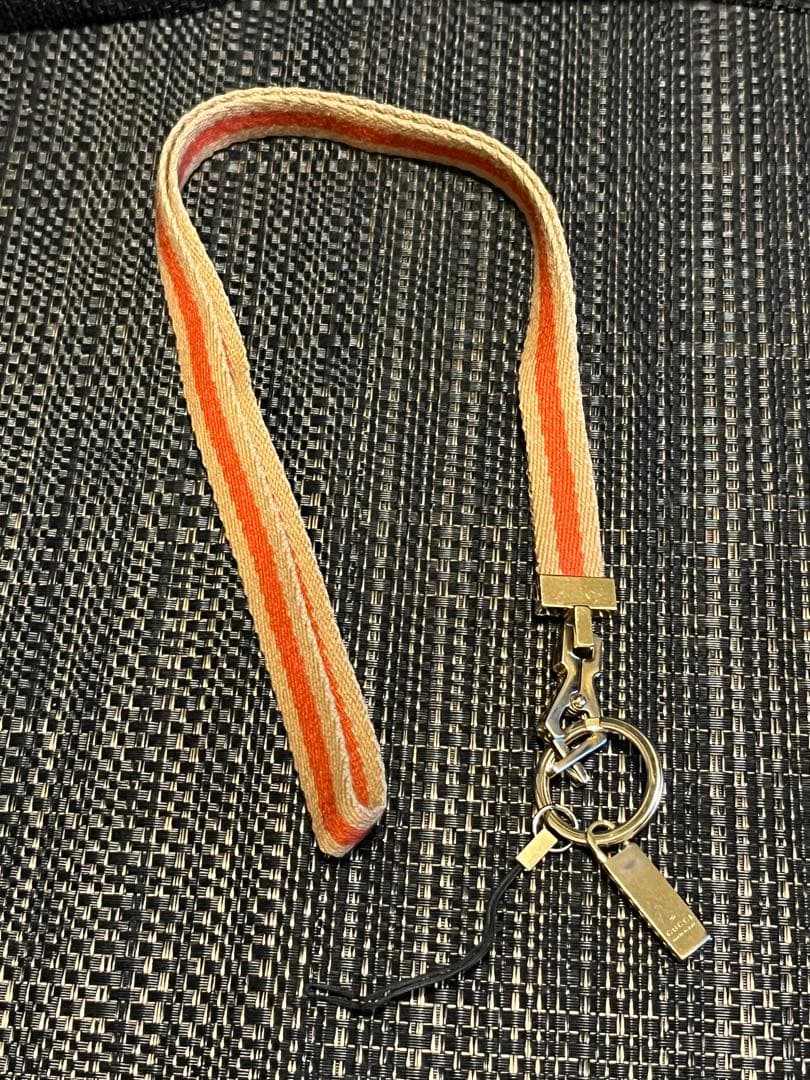 GUCCI グッチ ネックストラップ アクセサリー スマホ 中古品 レア 稀少