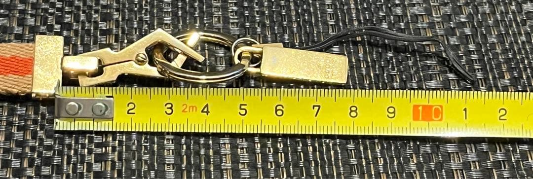 GUCCI グッチ ネックストラップ アクセサリー スマホ 中古品 レア 稀少