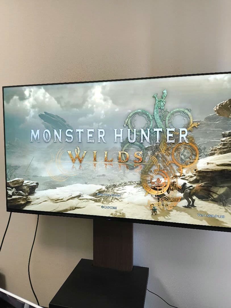 M*y様 【有機ELブラビア55インチ】 KJ-55A9G　TV