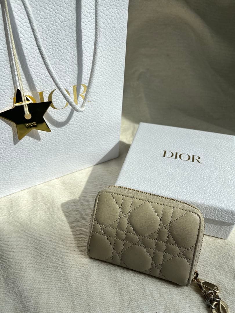 【DIOR】 ジップケース スモール ショッパー・箱付き※説明文要確認