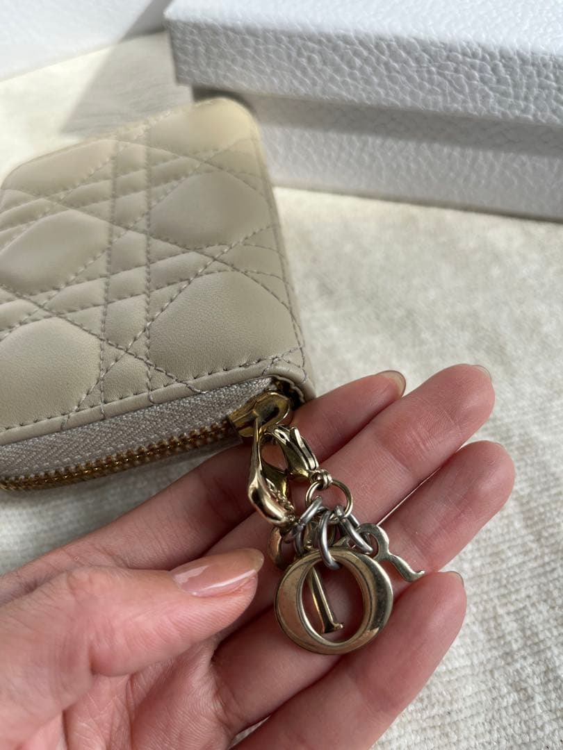 【DIOR】 ジップケース スモール ショッパー・箱付き※説明文要確認