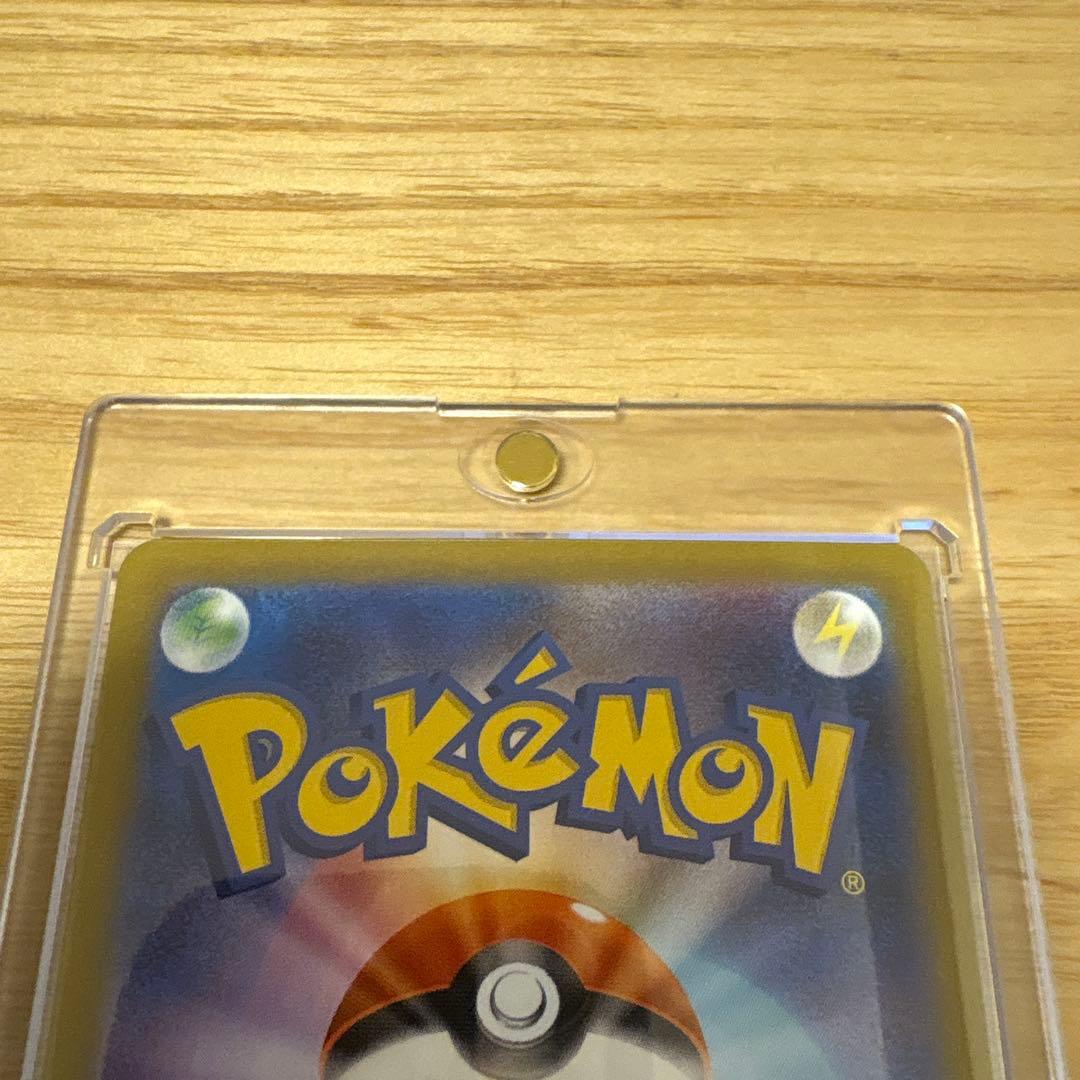 メイのはげまし　SAR