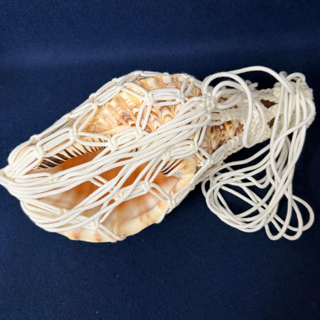 ③特大 ホラ貝 法螺貝 螺貝 ラッパ 雅楽 和楽器 古玩 旧家 蔵出 骨董品