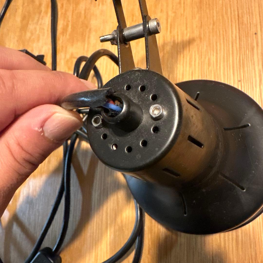 【訳あり】ゼンスイ　ソラリウム(電球なし)