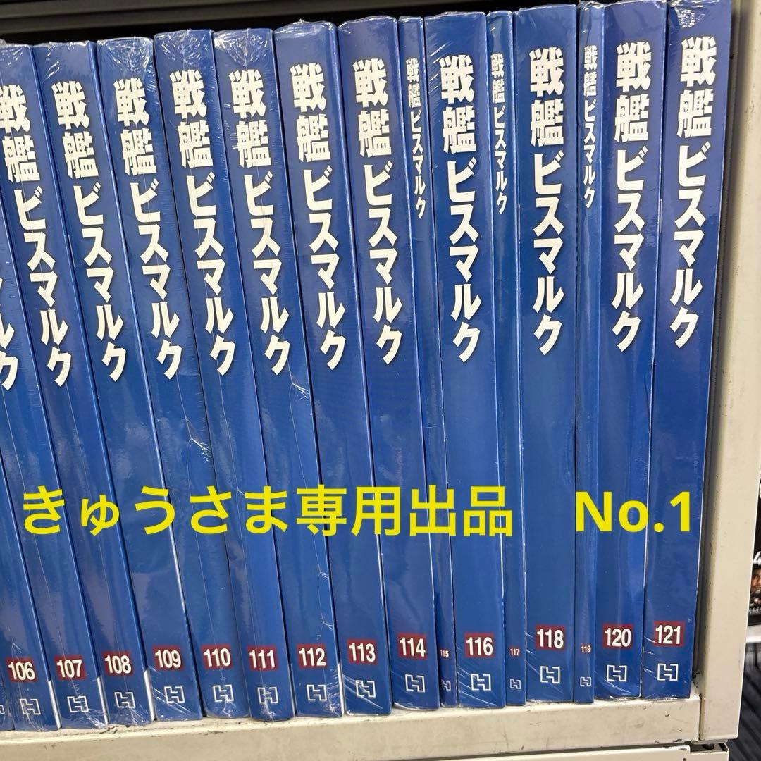 きゅうさま専用　戦艦ビスマルク　模型　No.1