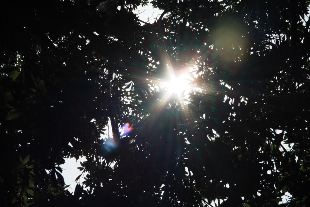 【極美品】Minolta MD ROKKOR 85mm F2 ミノルタ 571