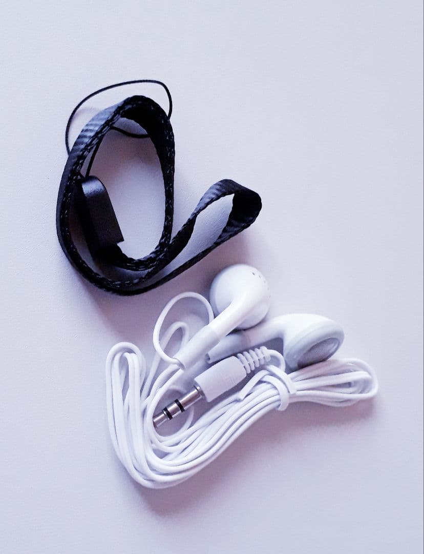 今すぐ使えるpowerdio ワンセグテレビ(録画可能)＆ラジオ(特典付き)