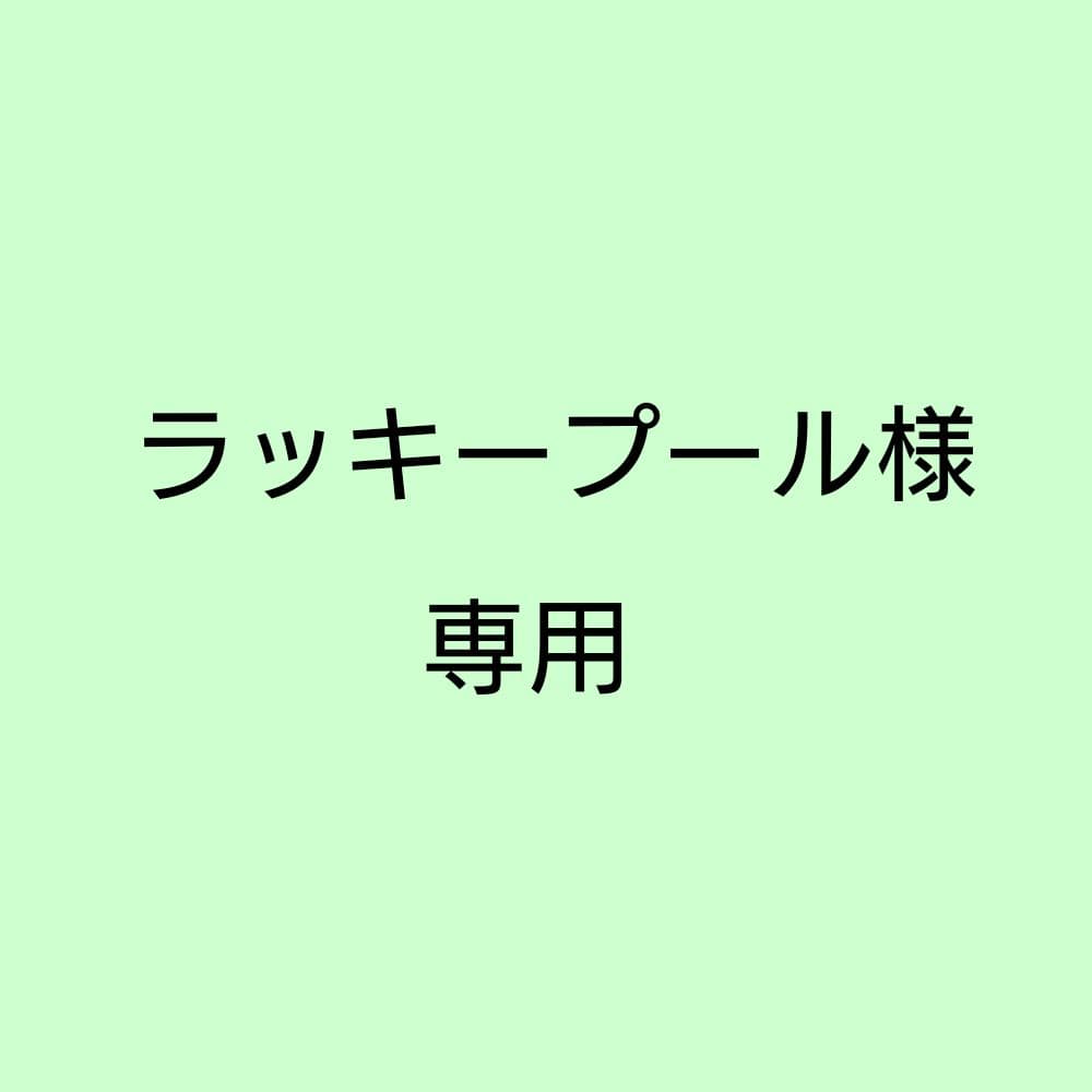 ラッキープール BURTON GORE-TEX Mサイズ ゴアテックス