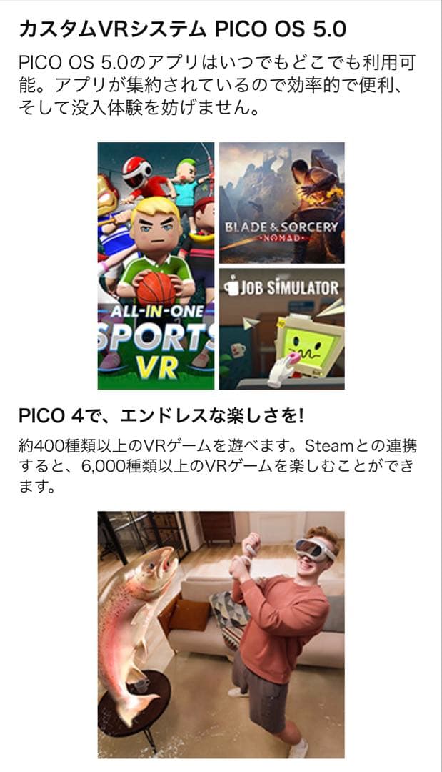 PICO4256GBモデル　VRヘッドセット　新品未使用・未開封