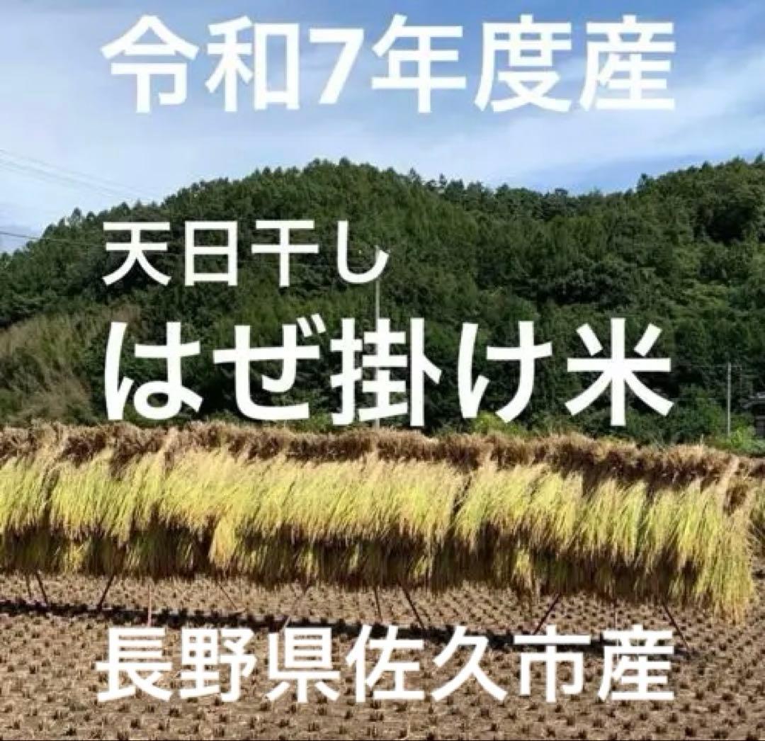 はぜ掛け米 令和7年度長野県産 天日干し　白米10キロ 籾保存米　一等米