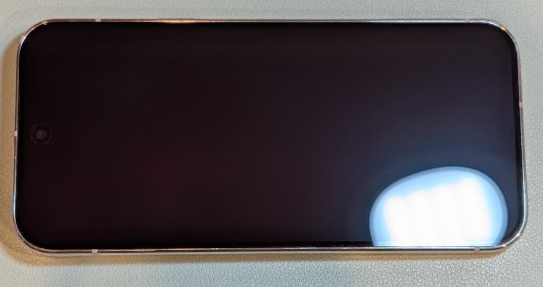 Google Pixel 9 Pro 512GB 色:porcelain