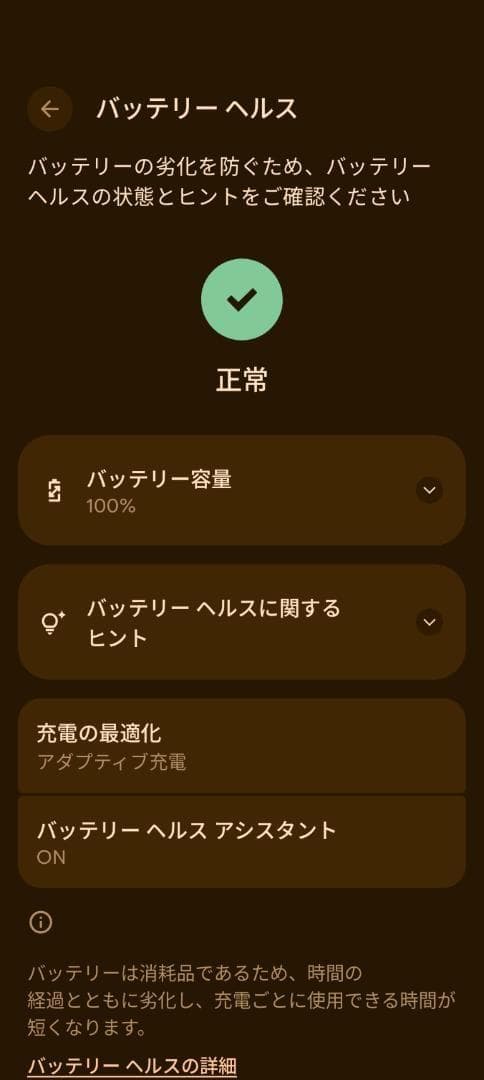 Google Pixel 9 Pro 512GB 色:porcelain