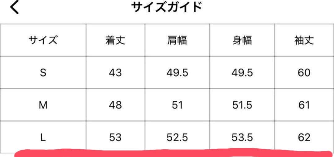 E*i様 90 Logo Original Cropped Hoodie セット