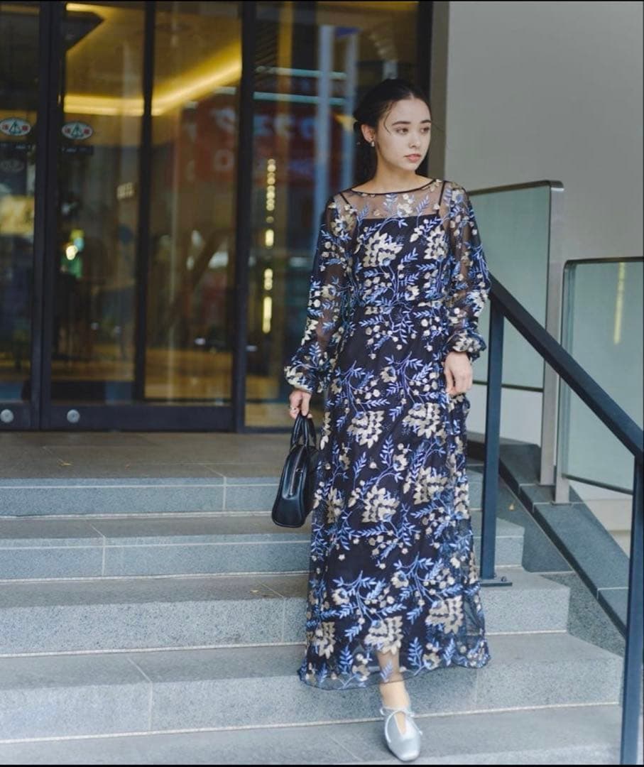 カスタネオケージョンドレスembroidery organdy dress