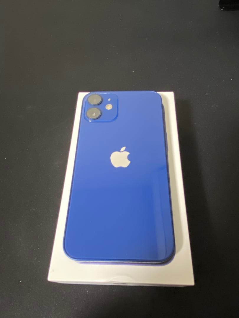 Apple iPhone12 本体