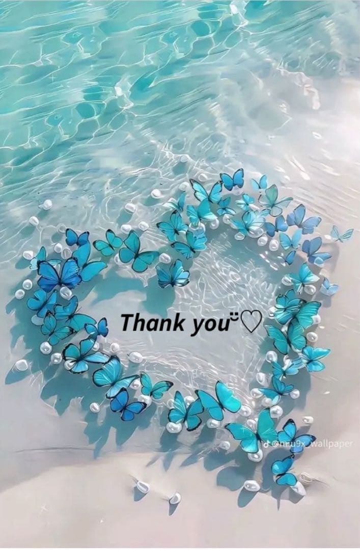 ❤️よっまん様❤️