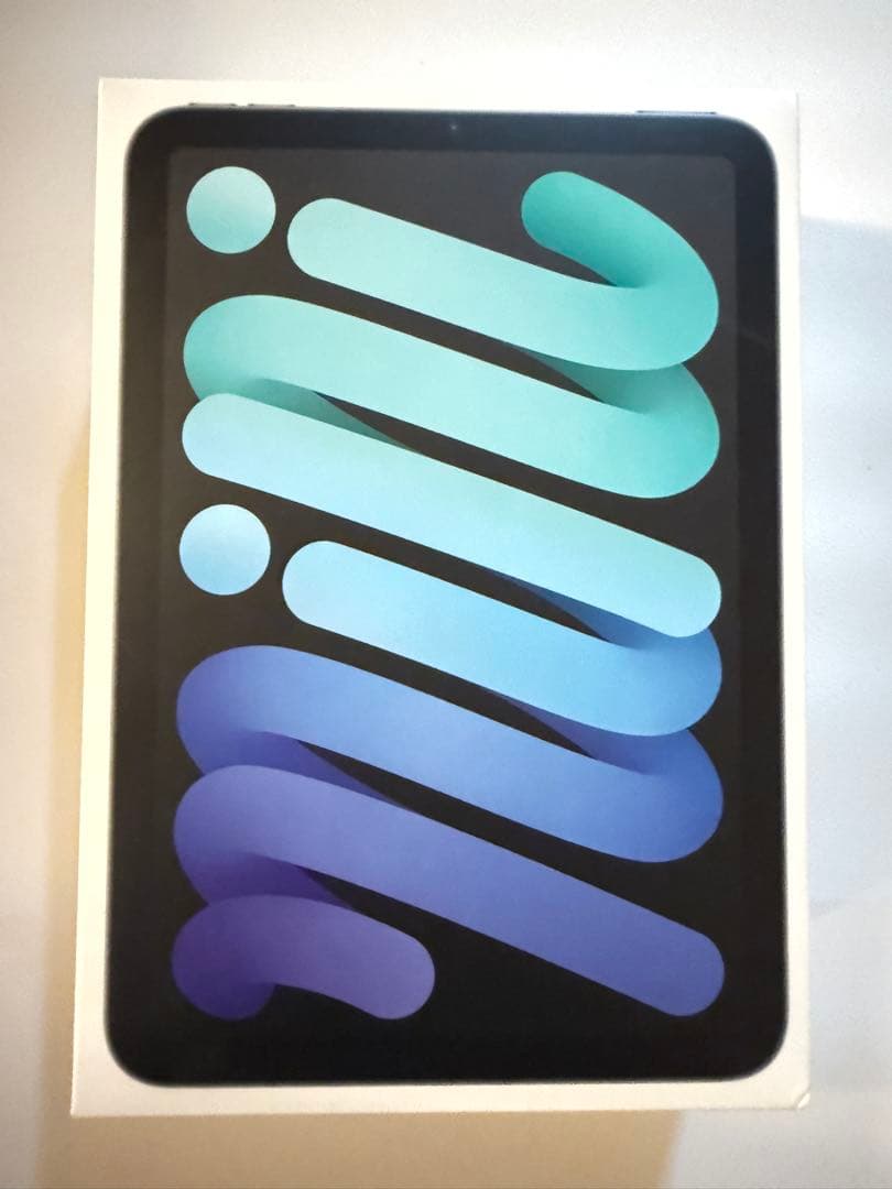 Apple iPad mini6 (256GB) スペースグレイ