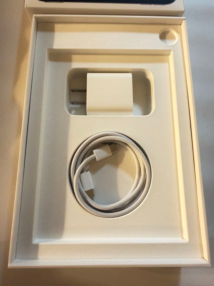 Apple iPad mini6 (256GB) スペースグレイ