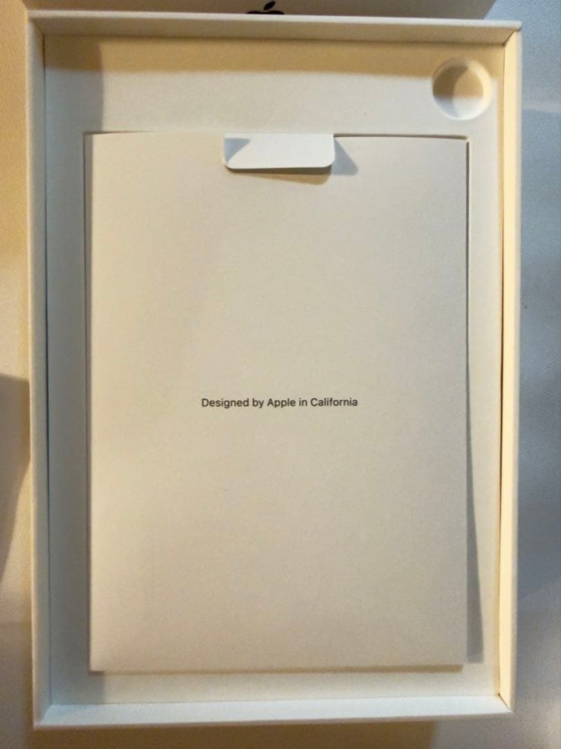 Apple iPad mini6 (256GB) スペースグレイ